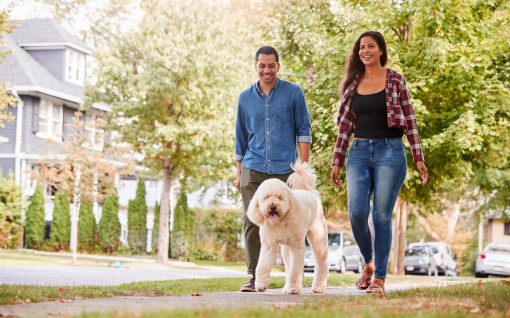 A couple walks their dog in a naighborhood.
